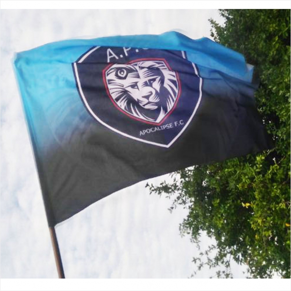 Imagem destacada do produto Bandeira 70x100cm